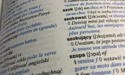 Comment s’aider du dictionnaire pour apprendre une langue ?