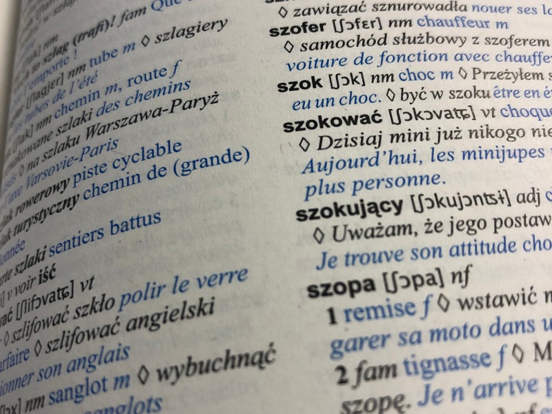 Comment s’aider du dictionnaire pour apprendre une langue ?