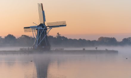 Pourquoi apprendre le néerlandais en 5 raisons ?